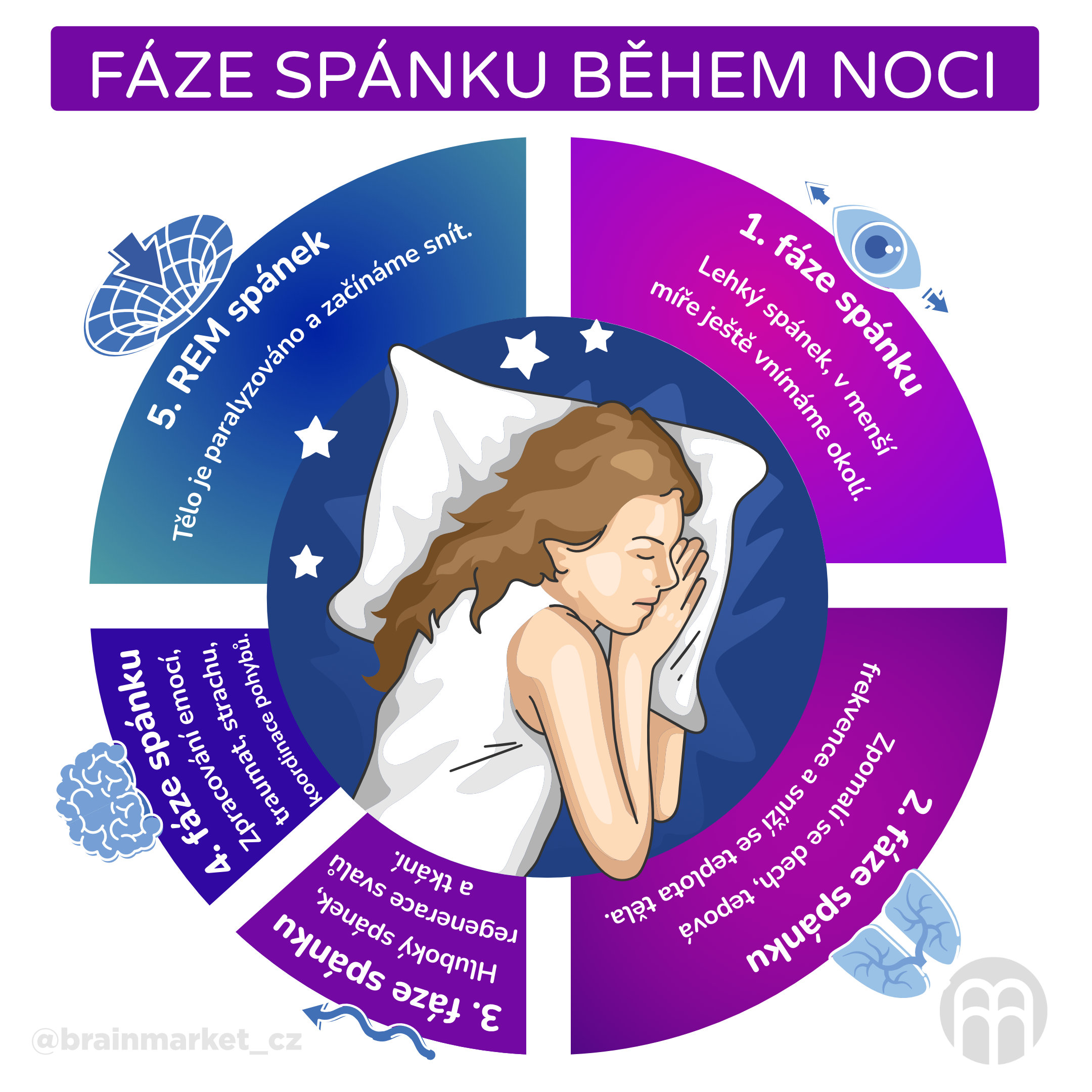 faze spanku_infografika_2_cz
